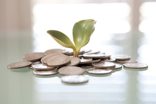 moneytree