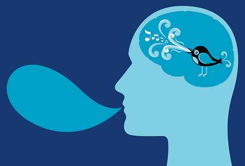 twitterbird twitter bird