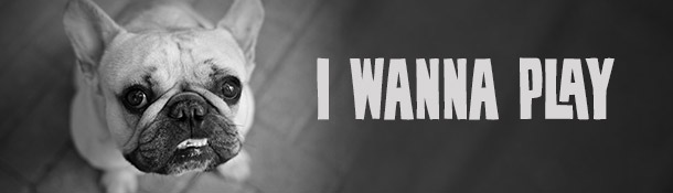 header_gamification