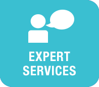 Expert Services
