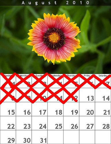 calendarXXX