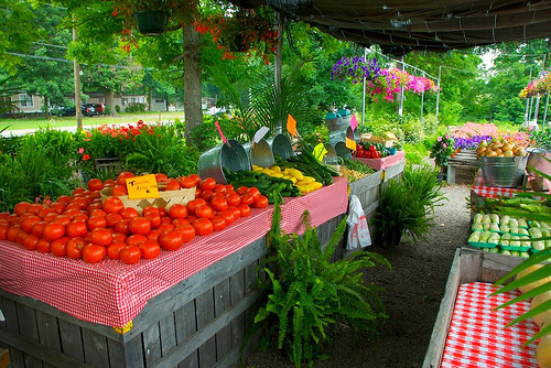 fruitstand fruit stand