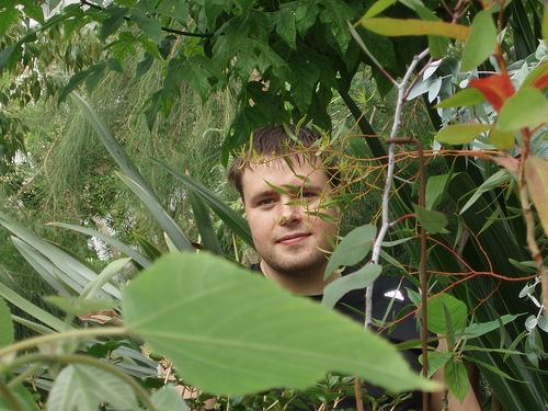Guy hiding in bushes Hiding in bushes