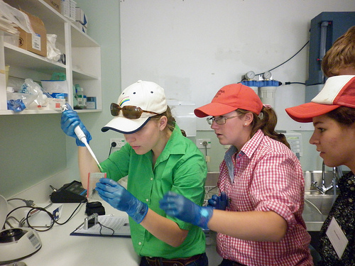 interns at work une