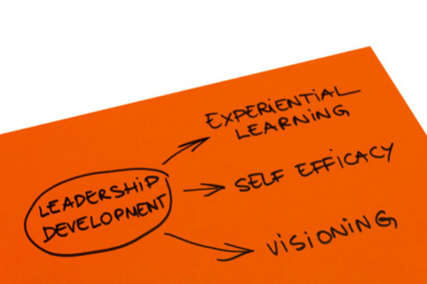 leadership development leadership development