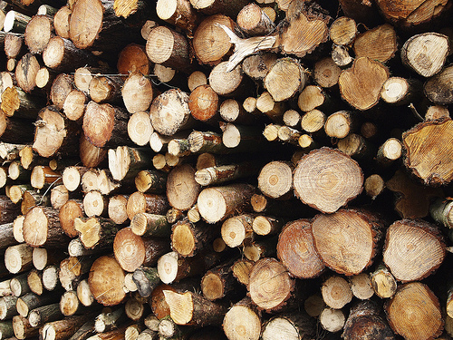 logs trees