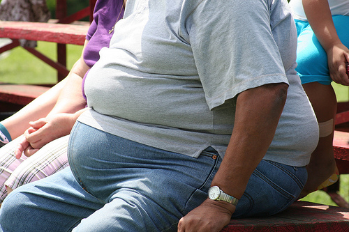Obese professions Obese professions