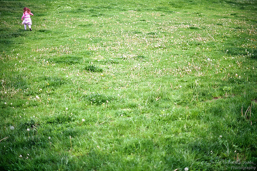 the grass is always greener stay-at-home mother working mother