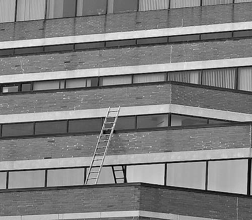 ladder ladder