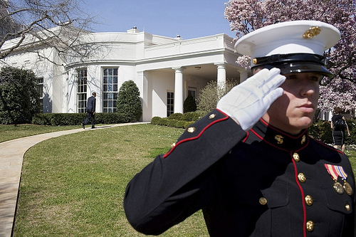 Marinesalute Marinesalute