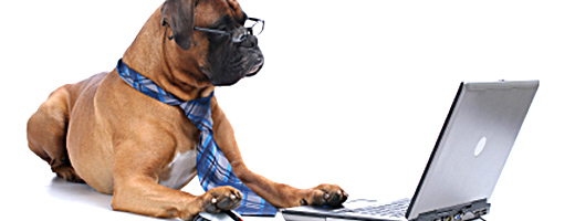 Header_Yahoo Header_Yahoo