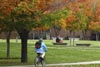top state universities