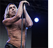 iggy pop