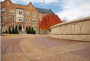 popular schools by job