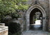 Best Ivy League Schools