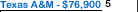 Texas A&M University Salary