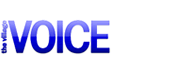 voice