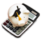 College ROI Rankings