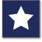 Tech Jobs for Vets