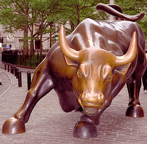 Bull