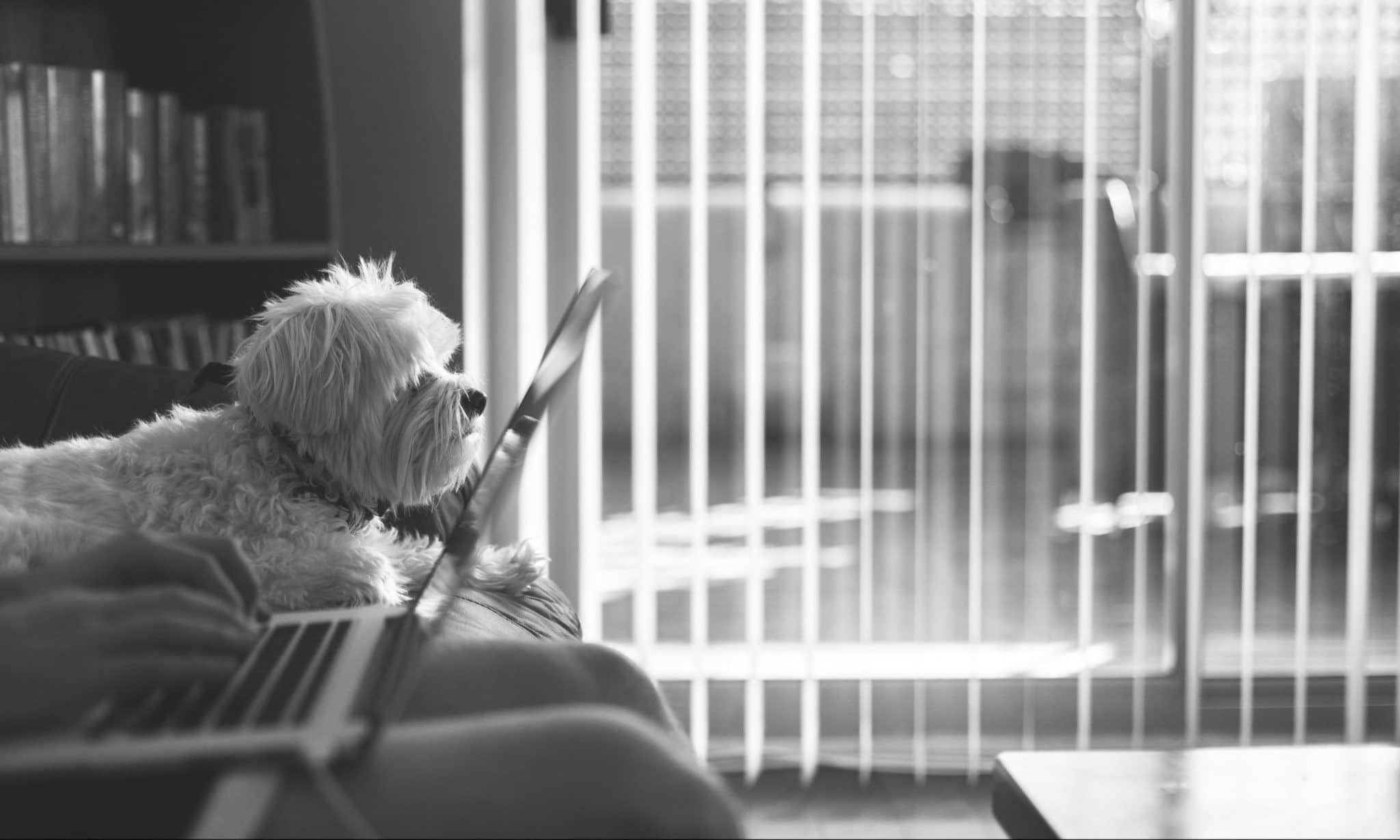 5 Work-From-Home Jobs for People Without a Bachelor's Degree 5 Work-From-Home Jobs for People Without a Bachelor's Degree