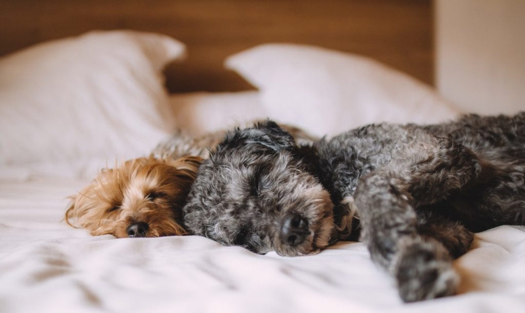 more sleep