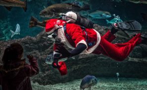 holiday jobs