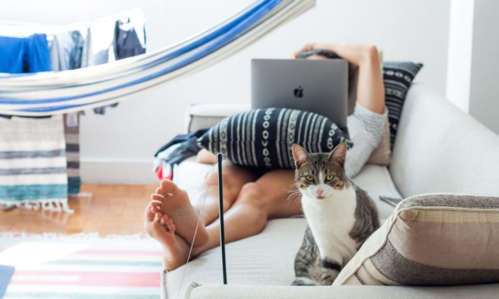 Survey reveals employees do not want to shift to work from office 2 Survey reveals employees do not want to shift to work from office