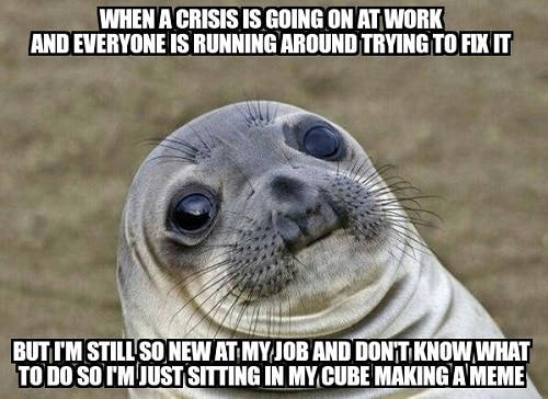 seal meme