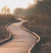 career path